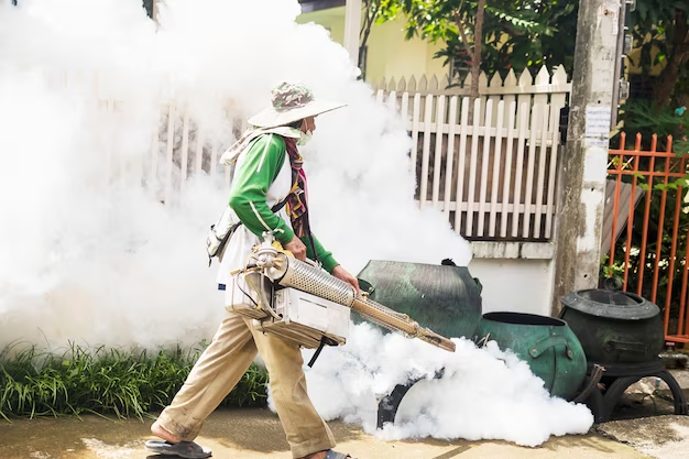 Hướng dẫn cơ bản về diệt muỗi ở nhà phố